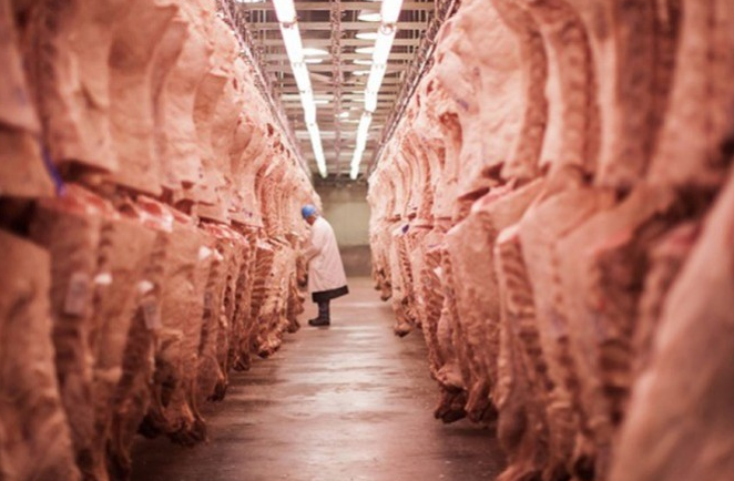 Volume exportado de carne bovina chega em 143,4 mil toneladas até a quarta semana de fevereiro/24